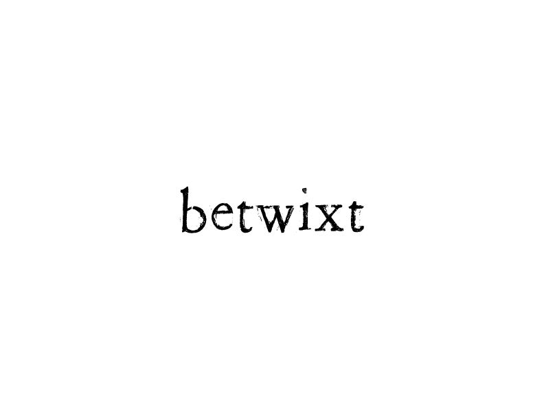 Betwixt Usage Meaning, 53% OFF | www.micoope.com.gt